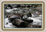 IMG_29651