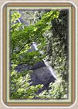 IMG_29711