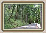 IMG_29861