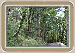 IMG_29891