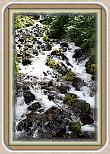 IMG_29951