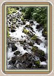 IMG_29961