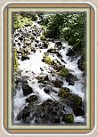 IMG_29991