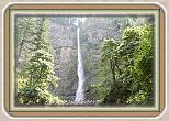 IMG_30251