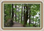 IMG_30381