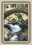 IMG_30681