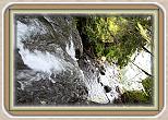 IMG_30781