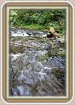 IMG_30791