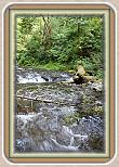 IMG_30801
