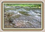 IMG_30891