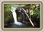 IMG_30991