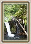 IMG_31101