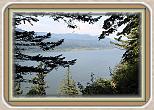 IMG_31261