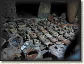 IMG_2008