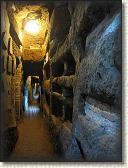 IMG_2014