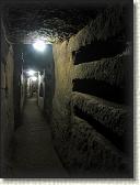 IMG_2031