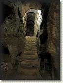 IMG_2039
