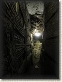 IMG_2048