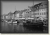 DSC02624BW