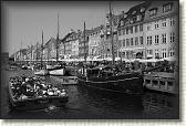 DSC02629BW