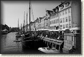 DSC02759BW