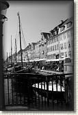 DSC02763BW