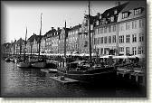 DSC02771BW