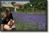 DSC03353