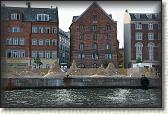 DSC03520