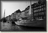 DSC03529BW