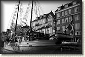 DSC03531BW