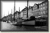 DSC03536BW
