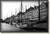 DSC03537BW
