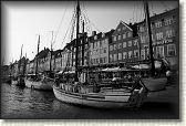 DSC03538BW