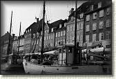 DSC03539BW