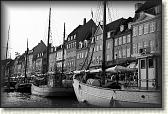 DSC03540BW