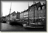 DSC03546BW