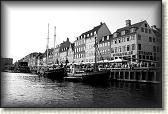 DSC03550BW
