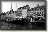 DSC03554BW