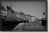 DSC03555BW