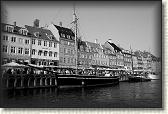 DSC03556BW