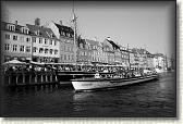 DSC03559BW