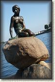 DSC03707
