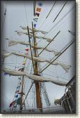 DSC05905