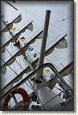 DSC05907