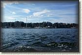 DSC06345