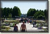 DSC06404