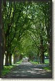 DSC06450