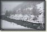 IMG_5918