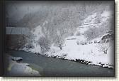 IMG_5919